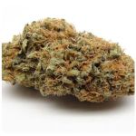 Шишки AK47 (Гидропоника, Бошка) VHQ в Электрогорске Шишки AK47 (Гидропоника, Бошка) VHQ в Электрогорске